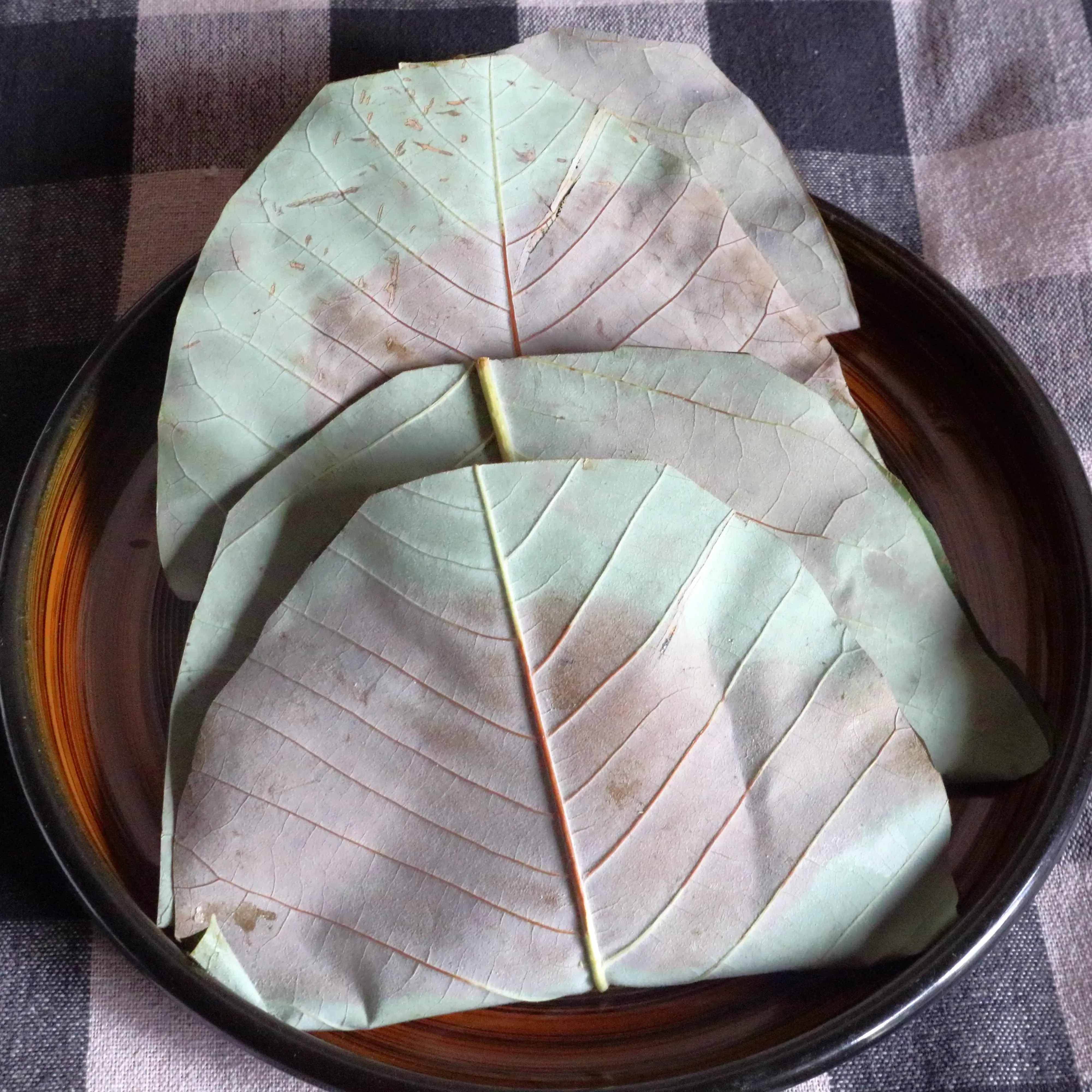  出典:Hida_01234.webp