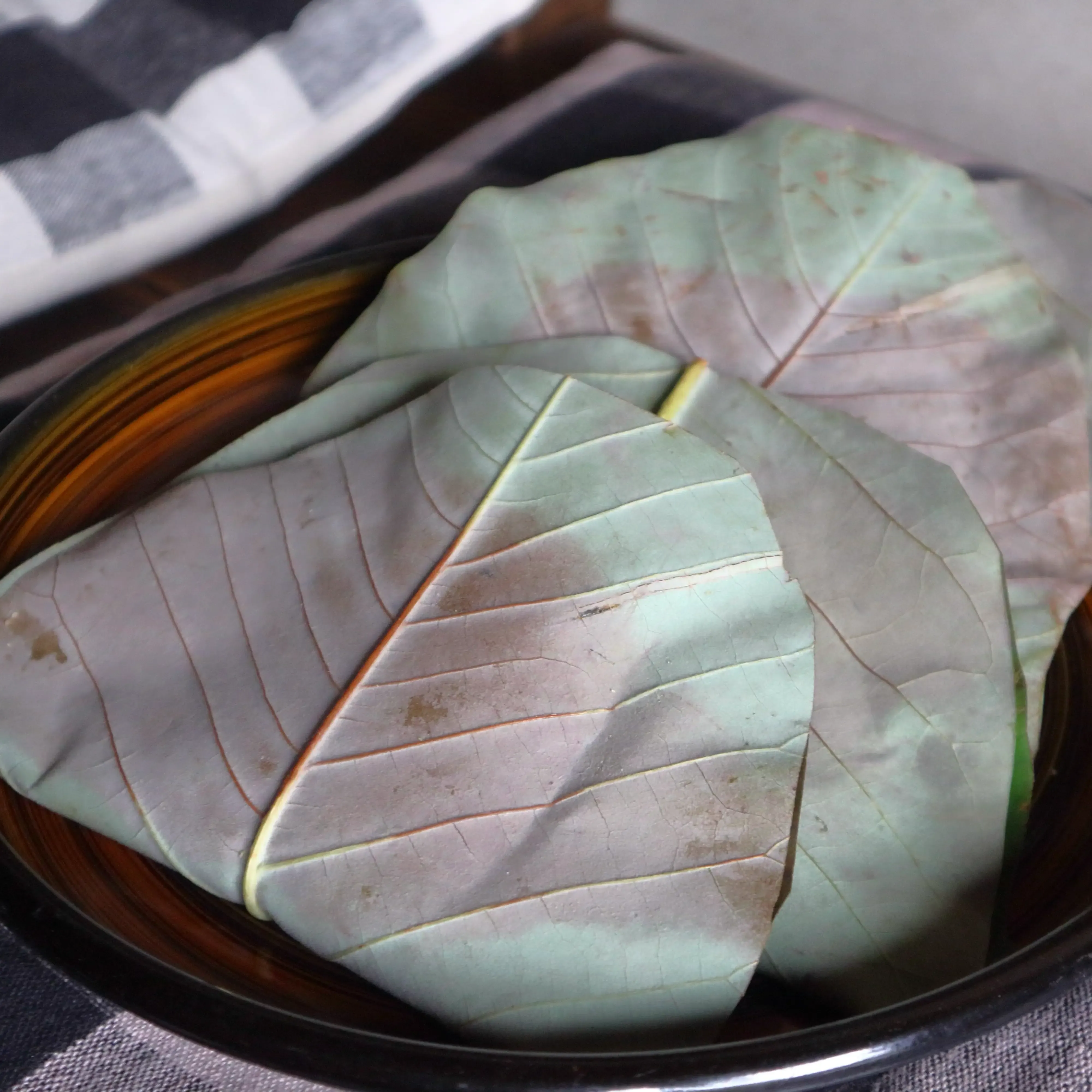  出典:Hida_01235.webp