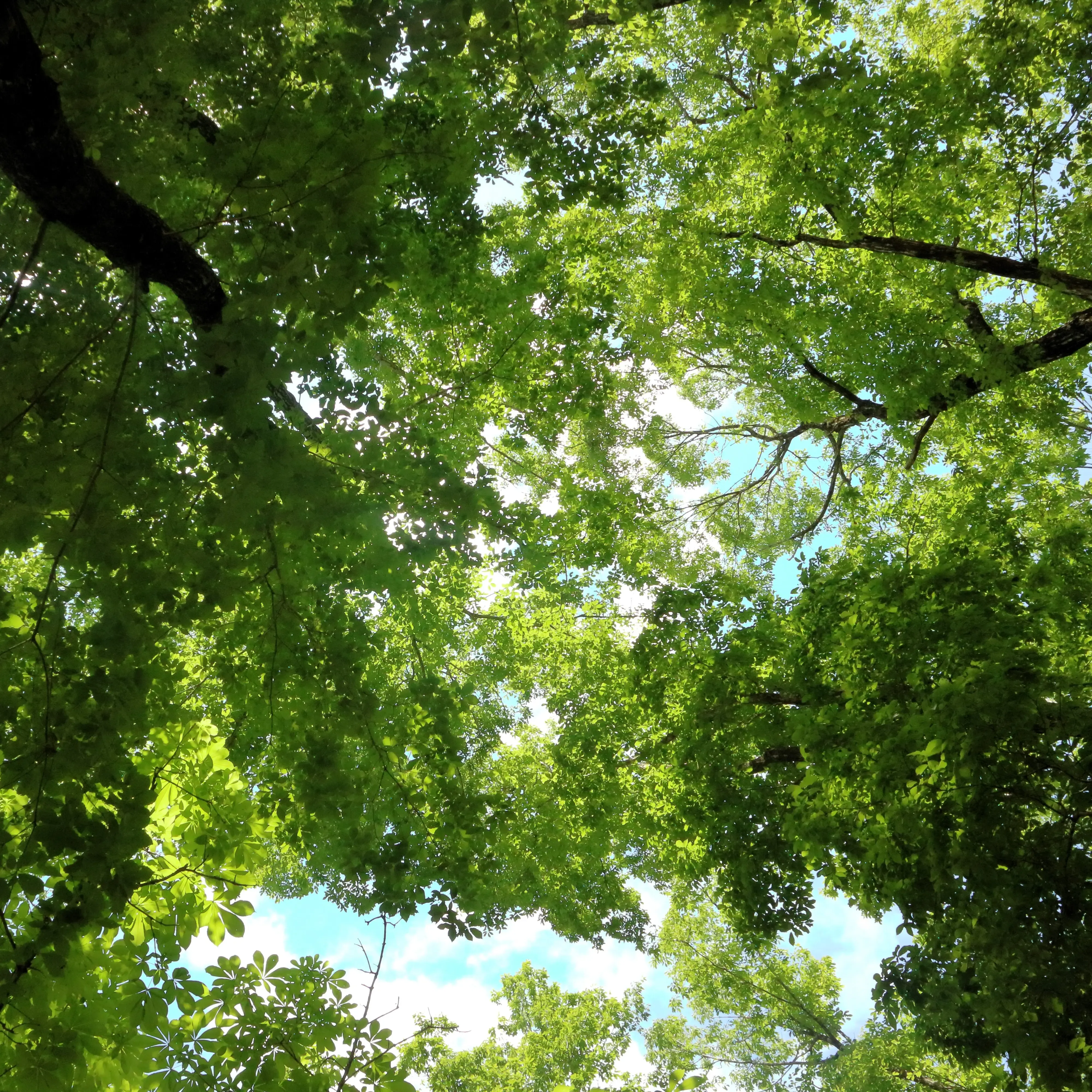  出典:LyingBench_Hida_00545.webp